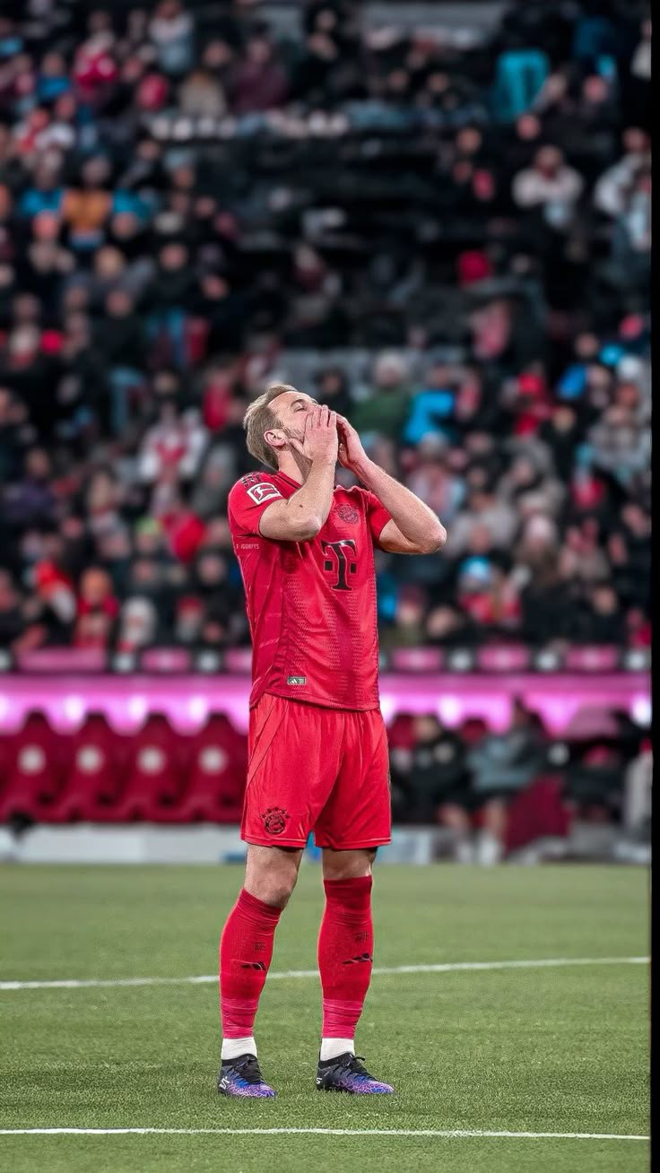 838d8c1f35241db8883ffe8ad2fcb74b