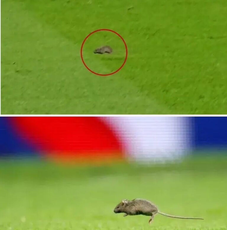 Screenshot_20250912_101136