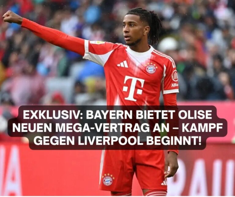 Screenshot_20250913-205557_Lite