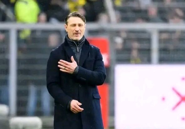 FB_IMG_17767590098197817