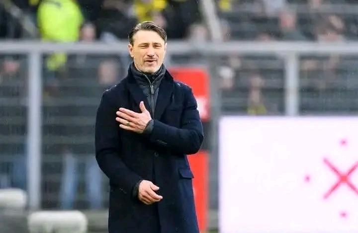 FB_IMG_17767590098197817