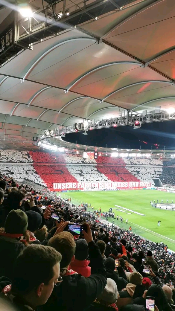 FB_IMG_17767945611073338