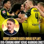 FB_IMG_17769250701506851