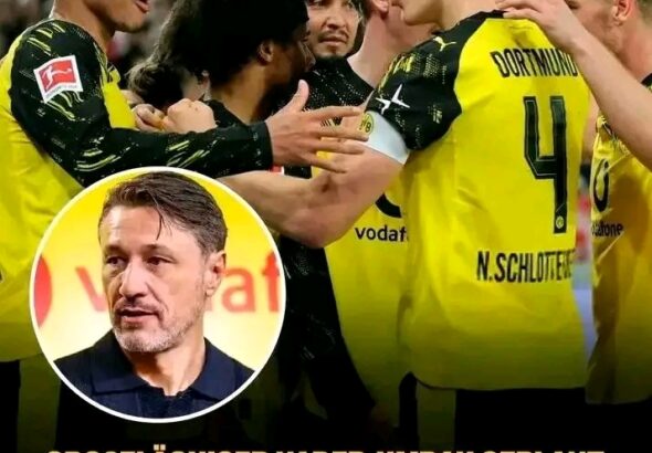 FB_IMG_17769250701506851