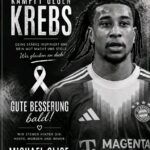 FB_IMG_17770255961588244