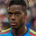 nico-williams-image-wikipedia